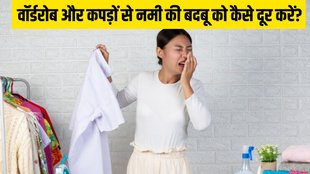 how to protect wardrobe from moisture । How to keep moisture out of wardrobe । How to Protect Clothes from Moisture