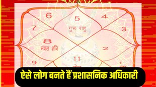 administrative officer, ias and ips