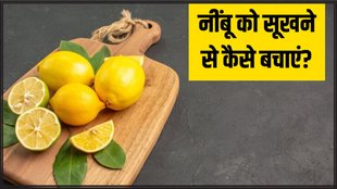 How to keep lemon fresh । How to keep lemon fresh without a fridge । How to store Lemon