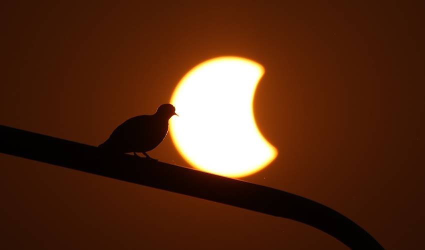 2025 Chandra Grahan will be be visible in India or not