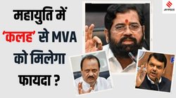 Maharashtra Assembly Election: BJP में एक बार फिर उठी अजित पवार के खिलाफ आवाज; विधानसभा चुनाव से पहले ही महाराष्ट्र में दरक जाएगा NDA?