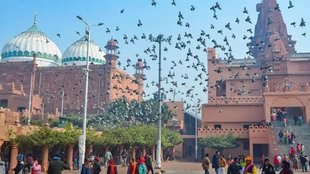 mathura shri krishna janmabhoomi, mathura, shri krishna janmabhoomi