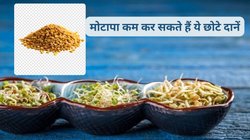 वजन को कम करना चाहते हैं तो दिन की शुरुआत मेथी को भिगोकर करें, पाचन रहेगा दुरुस्त, LDL कोलेस्ट्रॉल भी होगा कंट्रोल, जानिए तरीका