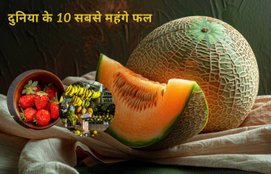Worlds 10 most expensive fruits
