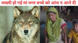 Sitapur Wolf attack News, Sitapur Bhediya, Sitapur News