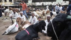 एक बकरी और दो आदमी, ‘राम’ नाम के चक्कर में बड़ा कंफ्यूजन, कोर्ट तक जा पहुंची बात