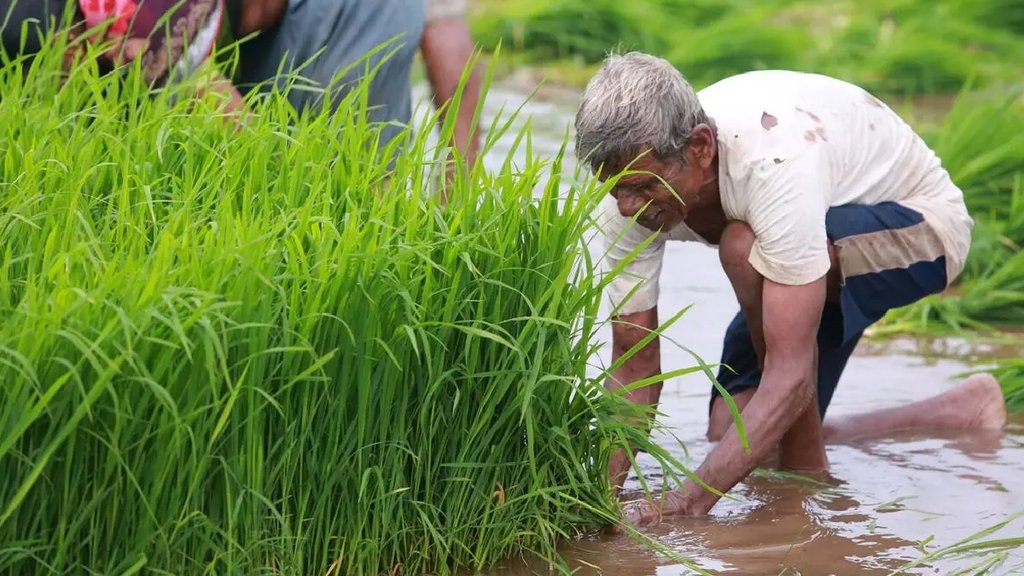 natural farming, small farmers, india
