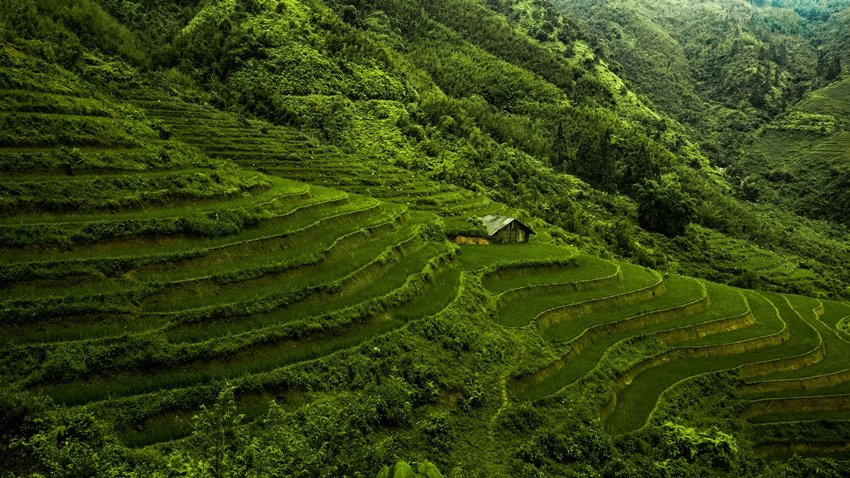 Vietnam travel itinerary for low budget