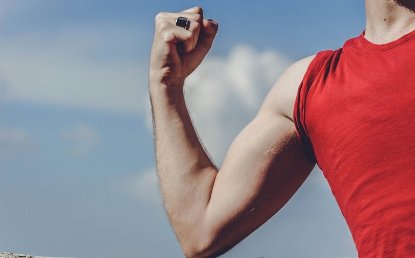 Foods for muscle health