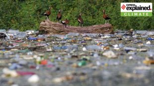 plastic pollution, india, waste management, global south,