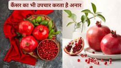 Health Benefits of Pomegranate: रोजाना 100 ग्राम अनार का सेवन किया जाए तो बॉडी पर कैसा होता है असर, एक्सपर्ट से जानिए