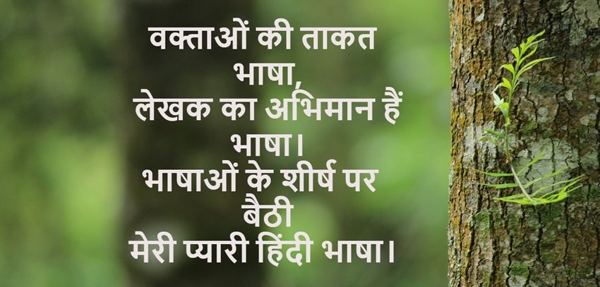 Importance of Hindi