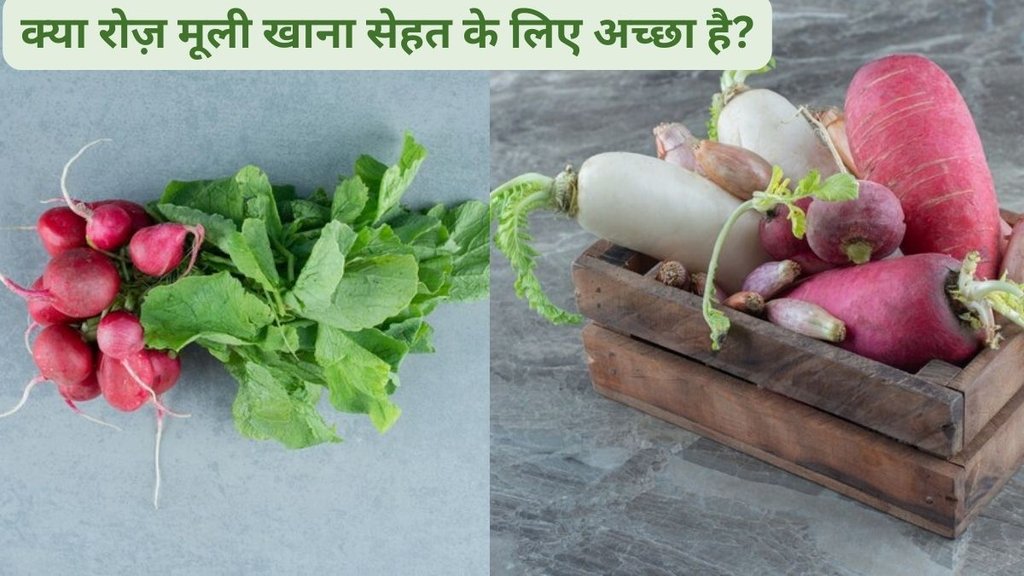 Radish,Radish Eating Benefits In hindi,Mooli khane ke Fayde,Diabetes Control With Mooli,radish for constipation,Radish For Sleeping,