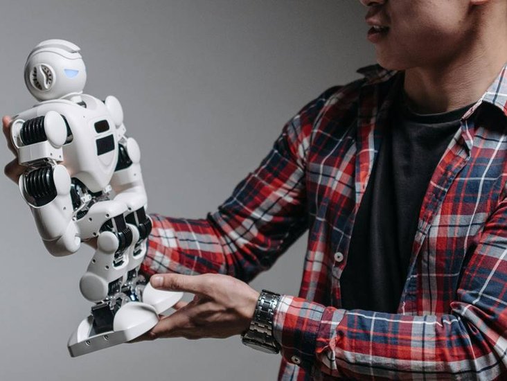 Name of country has the most robot employees