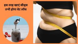 Weight Loss: इस खास समय चिया सीड्स का सेवन करेंगे तो तेज़ी से घटेगा वज़न, बेवक्त खाने से बढ़ सकती है पाचन की समस्या, जानिए कैसे
