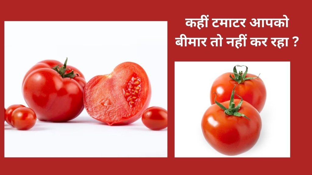 monsoon, tomatoes, worm infestation, health risks, gastrointestinal infections, food safety, inspection, washing, cooking, tomatoes and monsoon,बरसात में टमाटर का सेवन कैसे करें,
