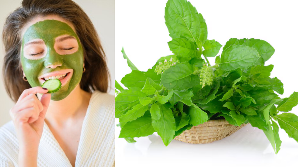 tulsi face pack