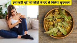 बढ़े हुए Uric Acid को कर लें इस चमत्कारी औषधि से कम, सुबह उठकर इसका सिर्फ पानी पी लीजिए, प्यूरीन के क्रिस्टल टूटकर निकल जाएंगे बाहर