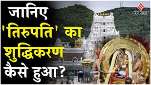 How was Purification of Tirupati mandir