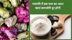 Water Chestnut Benefits: रोजाना सीजनल सिंघाड़े का सेवन किया जाए तो बॉडी पर कैसा होता है असर, एक्सपर्ट से जानिए