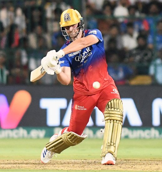 ipl 2025 mega auction, ipl auction, virat kohli, rcb