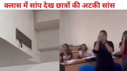 लेक्चर के समय क्लास में AC वेंटिलेशन से निकलकर रेंगने लगा सांप, डर के मारे कुर्सी पर चढ़ गए छात्र, मची अफरा-तफरी, देखें Viral Video