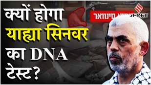 Yahya Sinwar Killed: गाजा के स्कूल पर इजरायली सेना का भीषण हमला, 15 लोगों की मौत | Israel Gaza War
