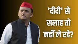 ममता बनर्जी की राह पर चल रहे अखिलेश यादव? PDA में शामिल लेकिन कांग्रेस के खिलाफ ही खोला है मोर्चा | Opinion