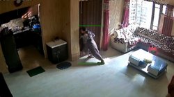 घर लूटने आए तीन लुटेरों से महिला ने अकेले लिया लोहा, कैमरे में कैद हुई बहादुरी, देखें Viral Video