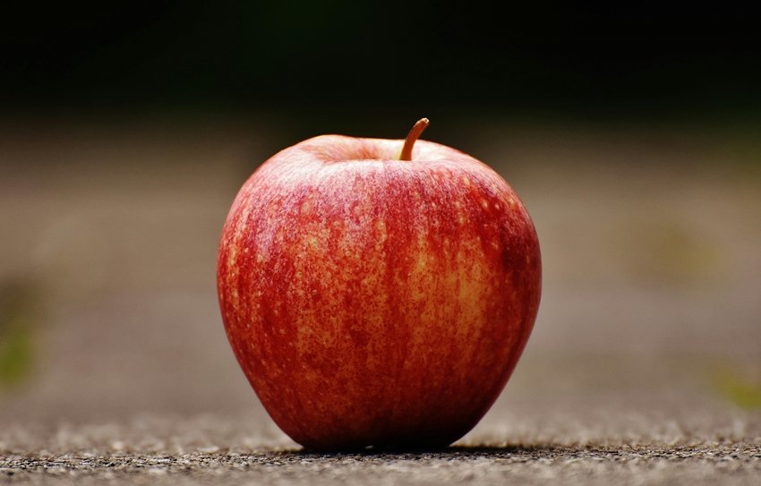 Apple with other foods