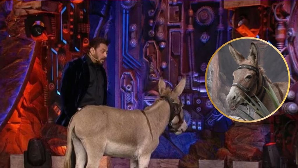 Bigg Boss 18