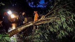 Cyclone Dana: क्या होता है चक्रवात और कितने तरह का होता है? कैसे रखा जाता है इसका नाम
