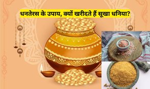 Dhanteras dry coriander