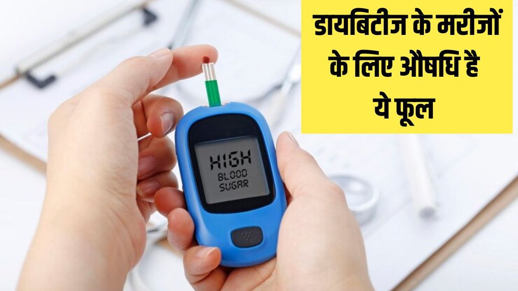 Blood Sugar । hibiscus flower for diabetes । Health news