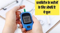 Blood Sugar को कंट्रोल कर सकता है हर घर में पाया जाने वाला ये फूल, डायबिटीज के मरीज इस तरह करें सेवन