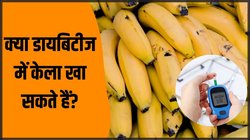 क्या डायबिटीज के मरीज केला खा सकते हैं? जानें ब्लड शुगर लेवल पर कैसा असर करता है ये फल