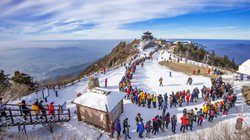 Diwali 2024 Long Weekend: दिवाली के लॉन्ग वीकेंड को करें सही से यूटलाइज, यहां घूमने का बनाएं प्लान