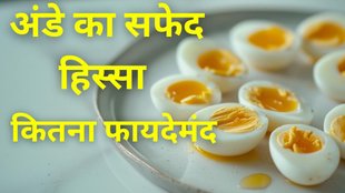 Egg Yolk Benefits: अंडे का सफेद हिस्सा सूजन पैदा करने वाला प्रोटीन होता है।