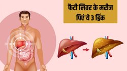 Fatty Liver के मरीज रोज पिएं ये 3 ड्रिंक, नेचुरल तरीके से रिकवर हो सकता है लिवर, डॉ से जानें फायदे