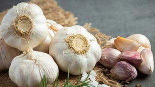 Garlic prices, winter Garlic prices