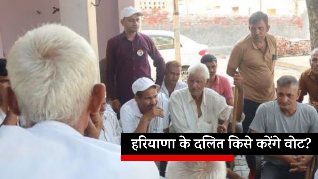 Haryana Elections News | Haryana