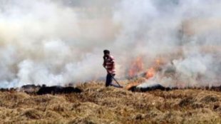 Haryana Farmers Stubble Burning | Haryana police | Stubble Burning