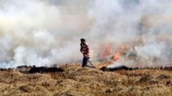 हरियाणा के कैथल में पराली जलाने के आरोप में 18 किसान गिरफ्तार, 22 के खिलाफ केस दर्ज