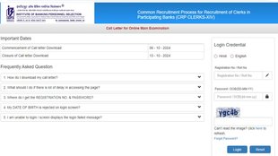 IBPS, IBPS RRB Clerk mains admit card, IBPS RRB Mains Admit card