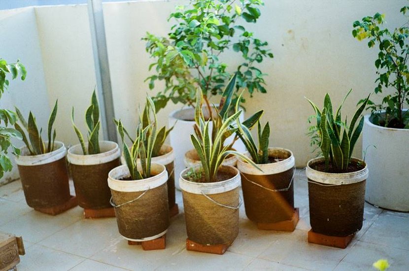 Indore Plant