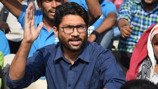 Jignesh mevani, hindi news, gujarat news,