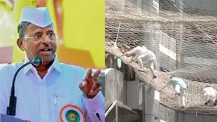 Maharashtra, latest news, breaking news. breaking news maharashtra,