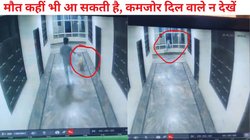 पालतू कुत्ते के साथ खेलते-खेलते तीसरी मंजिल से नीचे गिरा शख्स, कुछ ही सेकेंड में चली गई जान, देखें मौत का Live Viral Video