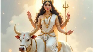 Navratri Day 8 Colour mahagauri