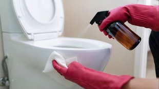 cleaning tips for toilet bowls